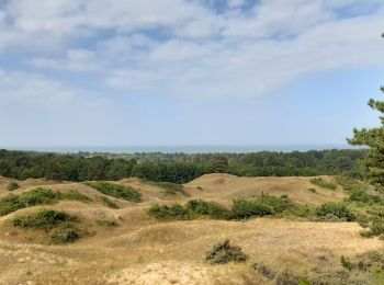 Tocht Stappen Dannes - Mont Saint-Frieux - Photo