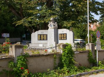 Tour Zu Fuß Gemeinde Königstetten - Mauerbach - Tulbinger Kogel - Photo