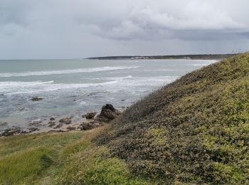 Percorso Mountainbike Jard-sur-Mer - sortie pointetrucmuch - Photo