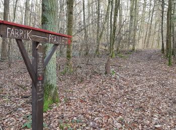 Tocht Te voet Bad Mergentheim - Wanderweg 14 - Photo