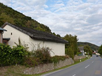 Randonnée A pied Altenthann - T 7 Forstmühle - Bach/Do. - Photo