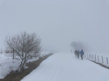 Tocht Sneeuwschoenen Besse-et-Saint-Anastaise - Lac pavin pealat  - Photo