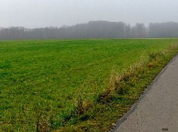 Tocht Te voet Bad Urach - Innere Zugangslinie - Photo