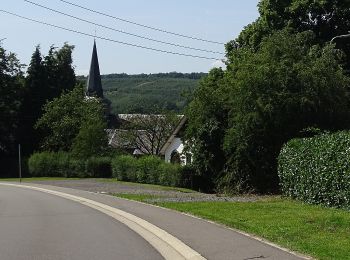 Trail On foot Theux - 24. Grotte Notre-Dame - Photo