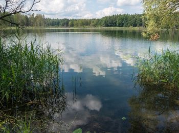 Trail On foot Chorin - Rundweg Bachsee - Photo