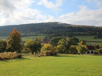 Tocht Te voet Hilders - Rundweg 9, Simmershausen - Photo