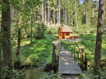 Tour Zu Fuß Wirsberg - Dr.-Margerie-Weg KU 14 - Photo