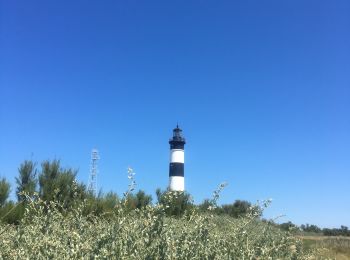 Excursión Senderismo Saint-Denis-d'Oléron - Les Huttes  - Photo