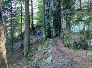Trail Walking Metzeral - Lac du Schiessrothried - Marcairie du Frankenthal- Retour - Photo