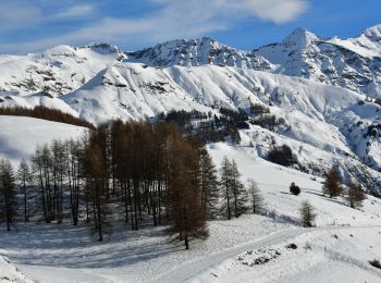 Tour Schneeschuhwandern Orcières - Orcières - Forest les Marches - Photo