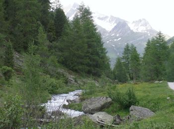 Percorso A piedi Campo Tures - IT-9B - Photo