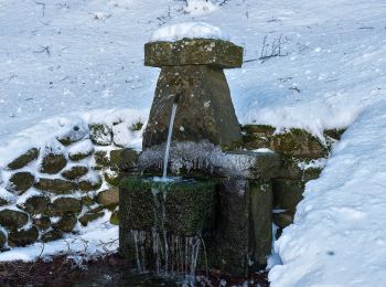 Tour Zu Fuß Cantagallo - Sentiero CAI 15 - Sez. Prato - Photo