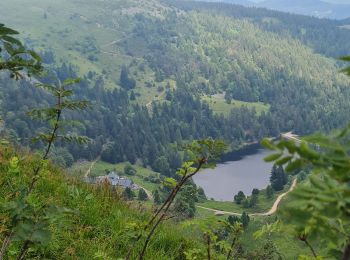 Trail Walking Soultzeren - Rando des APAVIENS..28/06/2024 - Photo