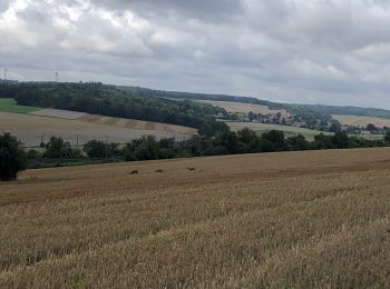 Tour Mountainbike Amiens - Le grand camps xieme2 - Photo