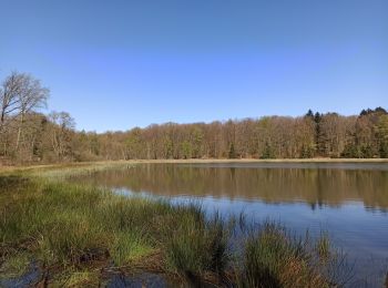 Trail Walking Fougerolles-Saint-Valbert - 23-04-21 pique-nique étang tresurier - Photo