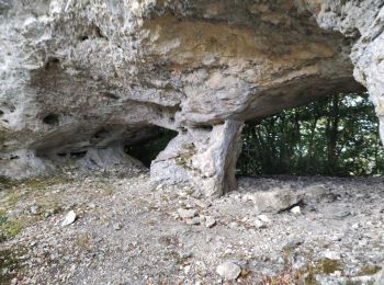 Randonnée Marche Le Chaffal - Arches de Combleroufle - Photo
