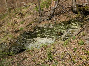 Trail On foot Geroldsgrüner Forst - Pechkratzerweg DÖ 92 - Photo