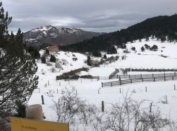 Trail Snowshoes Mosset - Au départ des « cinq sens » - Photo