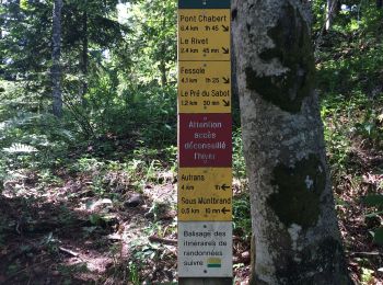Trail Walking Saint-Gervais - Pas de Monbrand,  - Photo