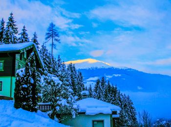 Tour Zu Fuß Altaussee - Sandling 241 - Photo