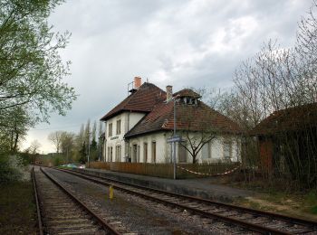 Percorso A piedi Waibstadt - Rundwanderweg Waibstadt 6: Geren-Weg - Photo