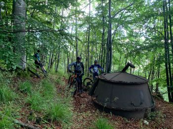 Trail Mountain bike Innimond - D’innimond a Rossillon - Photo