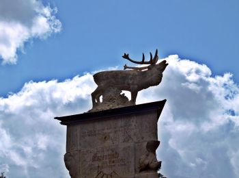 Tour Zu Fuß Schleusingen - Panoramaring - Photo