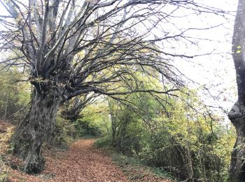 Tocht Stappen Mondoubleau - Mondoubleau sud - Photo