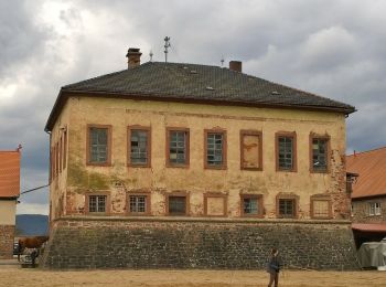 Randonnée A pied Lohr am Main - Ortswanderweg Lohr 6 - Photo