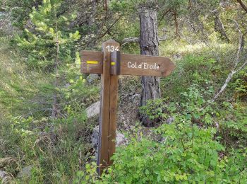 Trail Walking Étoile-Saint-Cyrice - 3 cols - Photo