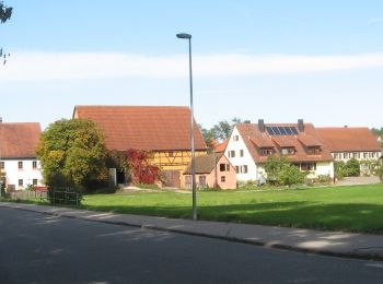 Percorso A piedi Heidenberg - Rundwanderweg 1 Büchenbach - Photo