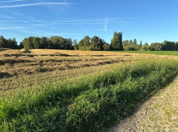 Percorso Marcia Asse - Relegem 6,7 km - Photo