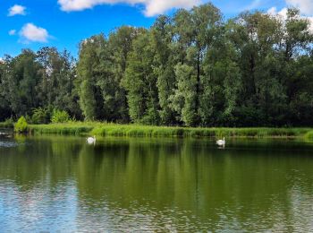 Tocht Stappen Geneuille - Geneuille Cussey 2024 - Photo