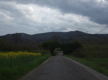 Trail On foot Arezzo - IT-553 - Photo