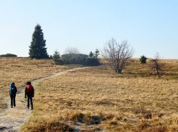 Trail Walking Le Hohwald - 2018-11-17 Balade Rocher Edelweiss  - Photo