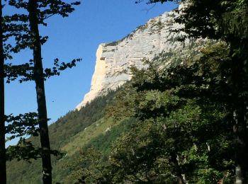 Trail Walking Entremont-le-Vieux - Le Granier - Photo