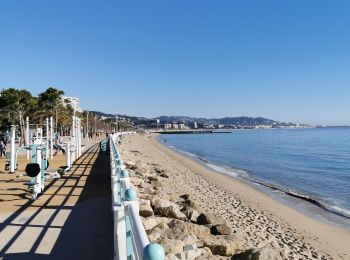 Trail Walking Cannes - Marche Bocca 15/01/22 - Photo