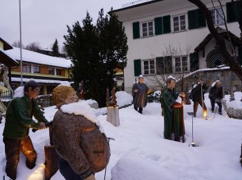 Tocht Te voet Sankt Gilgen - Wanderweg 28 - Photo