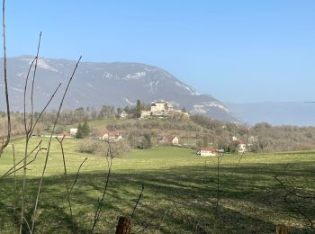 Trail Walking Cuzieu - Château - Photo