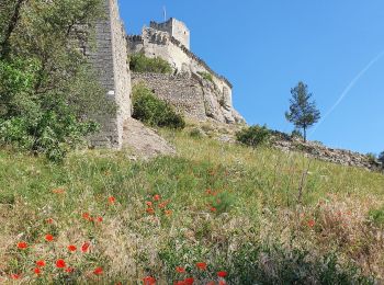 Tocht Stappen Boulbon - le château de Boulbon - Photo