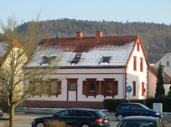 Randonnée A pied Bruchmühlbach-Miesau - Sagenhafter Waldpfad - Photo