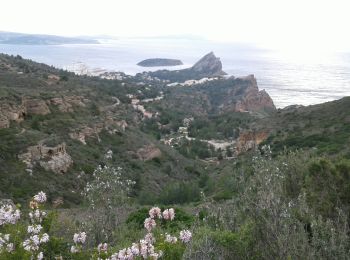 Trail Walking La Ciotat - La Ciotat les crêtes le 04/12/2019 - Photo