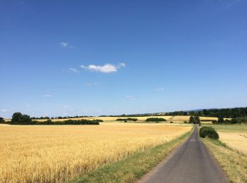 Percorso A piedi Vellmar - Vellmar, V - Grenzweg - Photo