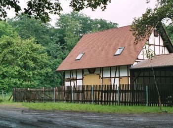 Tocht Te voet Allstedt - Grüner Balken - Photo