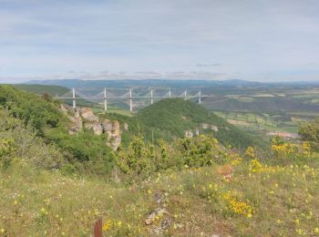 Excursión Senderismo Creissels - Au dessus de Millau - Photo