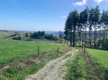 Percorso Bici ibrida Vresse-sur-Semois - Pussemange Bouillon - Photo