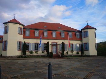 Trail On foot Alzenau - Willy Windisch Weg - Photo