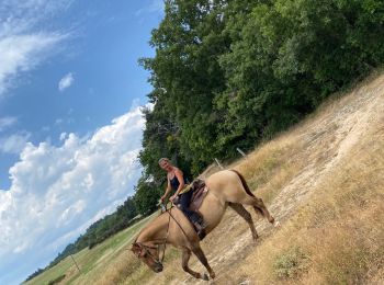 Trail Horseback riding Saint-Apollinaire-de-Rias - St Appollinaire de Rias au top 👍 - Photo