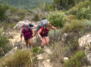 Excursión sport Santa-Maria-Siché - Ma A Mar , centre 2024, Journé six - Photo