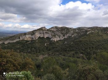 Trail Walking Saint-Rémy-de-Provence - Alpilles - Photo